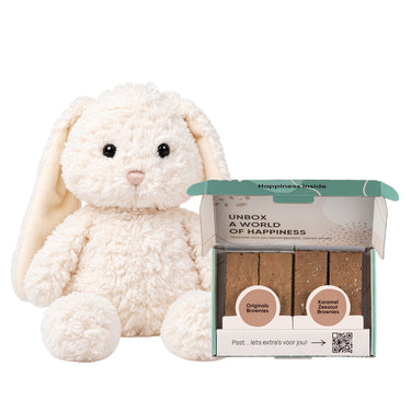Browniebox met brownies: 2 originals en 2 karamel zeezout. Daarnaast een wit knuffelkonijn