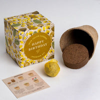 Voordeelcadeau: 'Happy Birthday' growing kit & Brownies