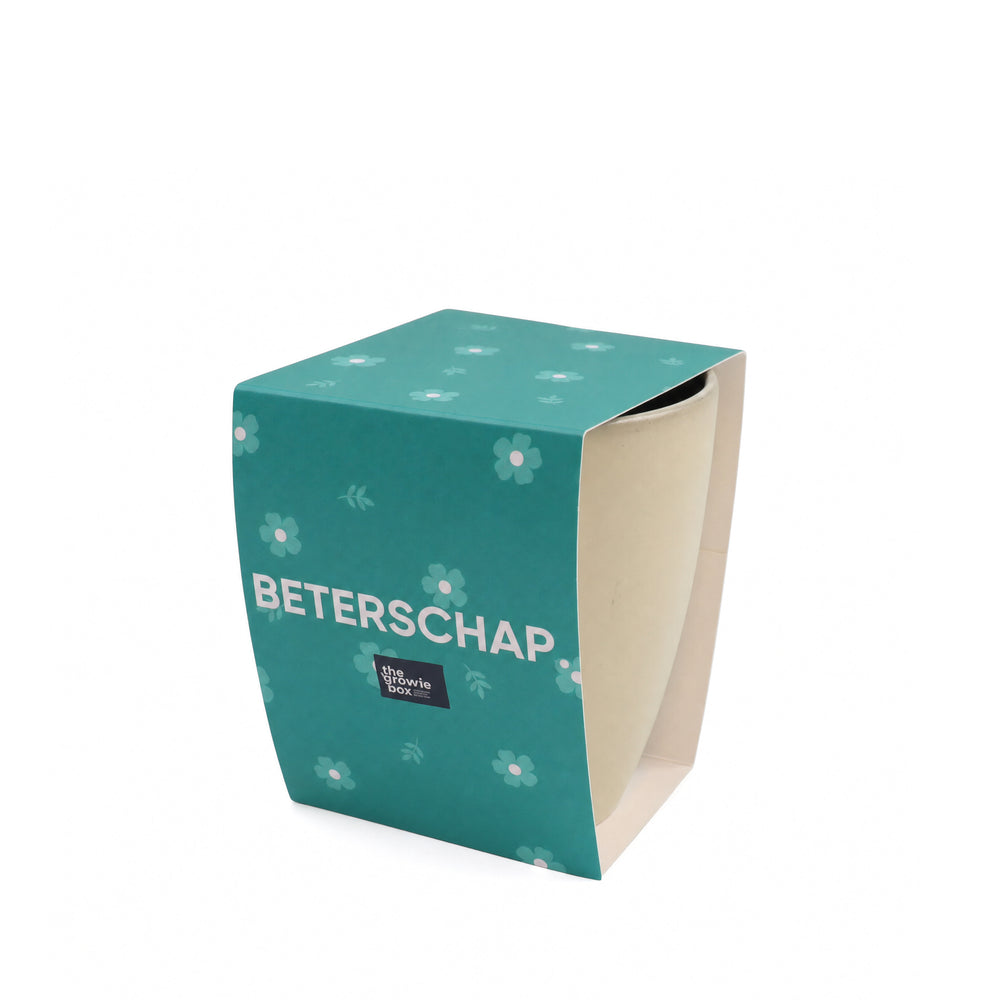 Grijze mok met sleeve met beterschapswens