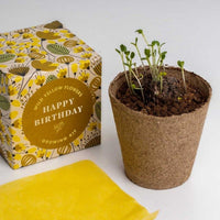 Happy birthday growing kit met plantje op grijze achtergrond